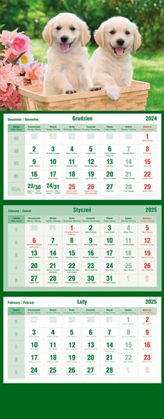 m&p kalendarz trójdzielny 2025 pies     t-105t-09
