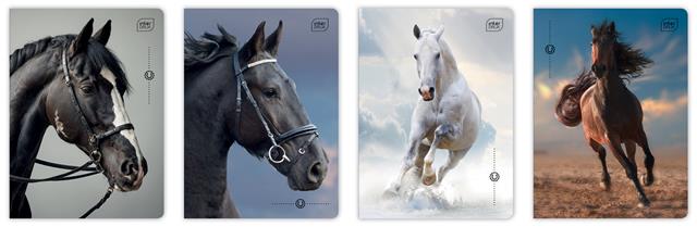 INTERDRUK ZESZYT A5 32K KRATA # 70G/M2  WILD HORSES /10/ /200/