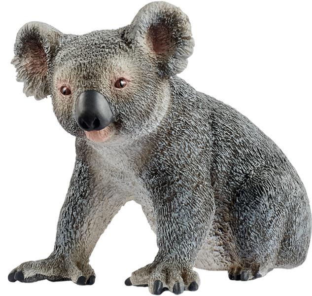 schleich miś koala 14815 20834 tm toys