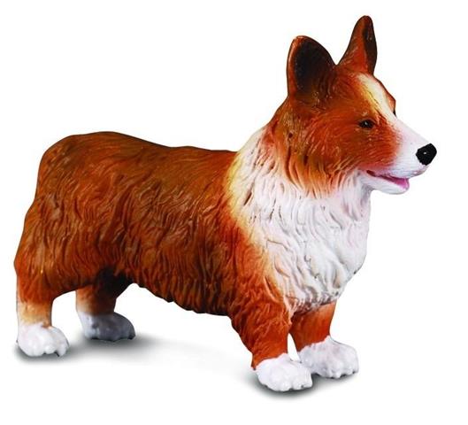 collecta pies rasy irlandzki corgi 0822 dante