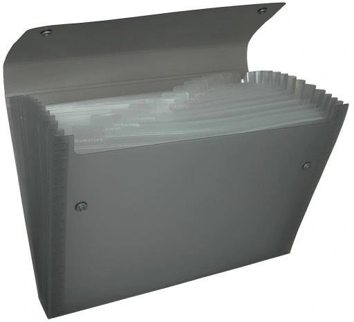 PENTEL TECZKA HARMONIJKOWA PP A4 13 KIESZENI DCD14AT PRZEZROCZYSTA CZARNA