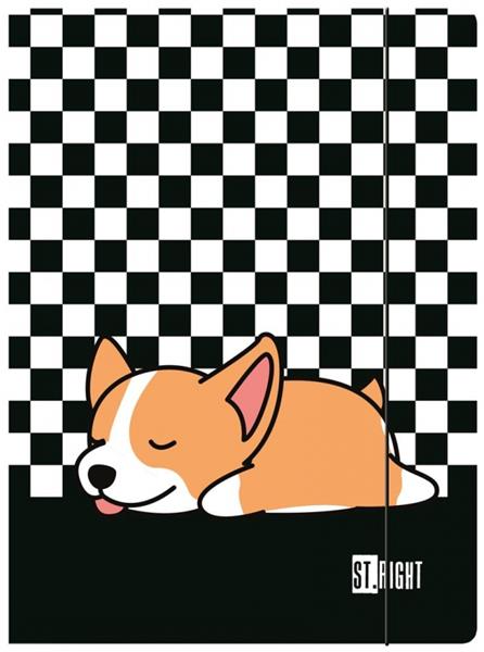 majewski teczka a4 z gumką sleepy corgi st.right /10/