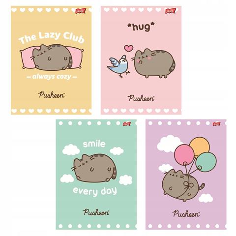 MAJEWSKI ZESZYT A5 32K = LINIA PODWÓJNA KOLOROWA LAMINOWANY PUSHEEN 70G/M2 B-3001 /15/